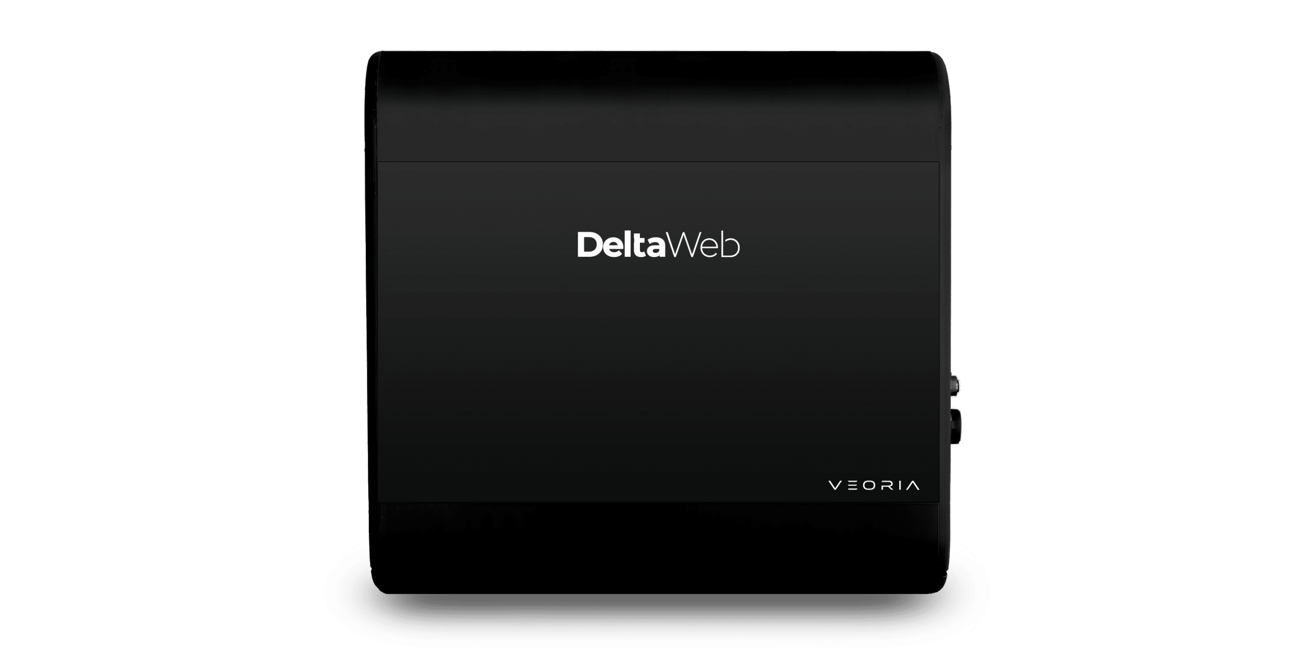 DeltaWeb Inline Spectral Scanner for color control